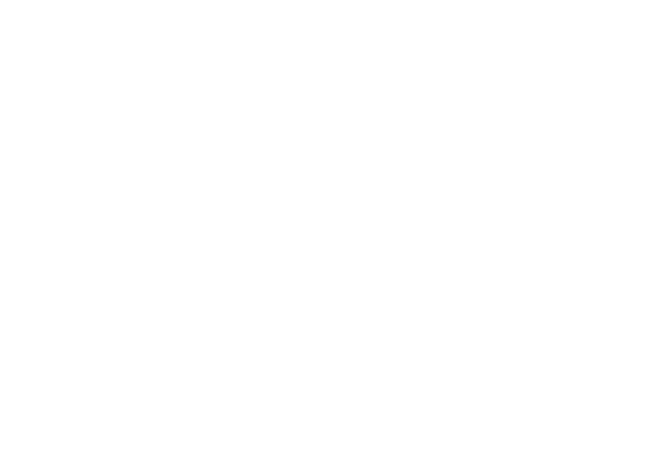 Antares Csoport